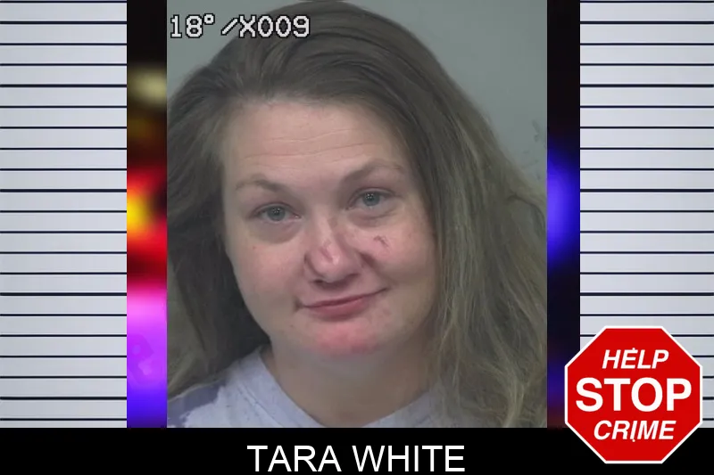 Tara White mugshot – Gwinnett County , Georgia Tara White mugshot