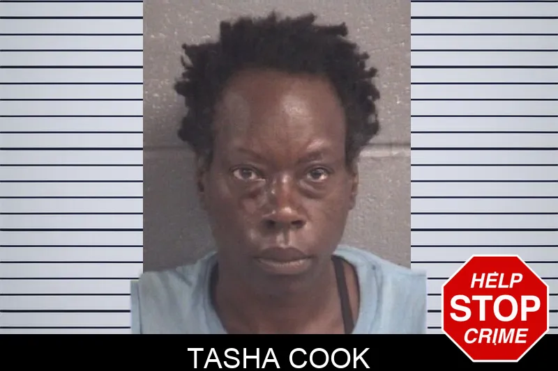 Tasha Cook mugshot – Spalding County , Georgia Tasha Cook mugshot