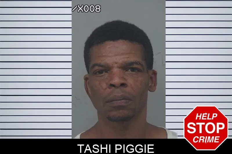 Tashi Piggie mugshot