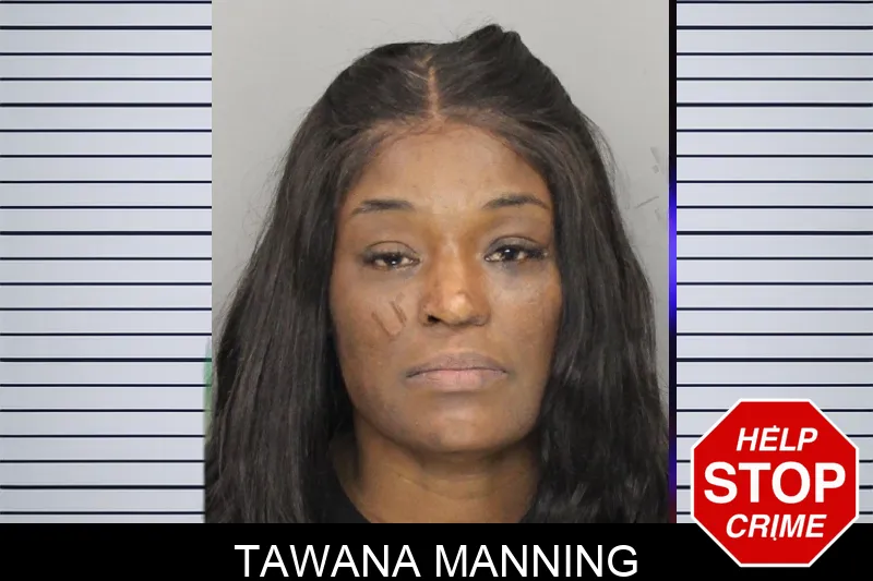 Tawana Manning mugshot