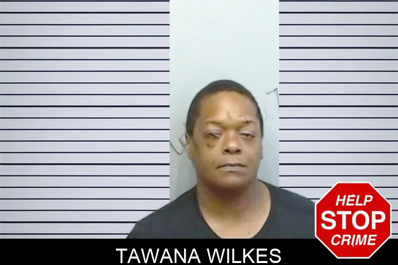 Tawana Wilkes mugshot