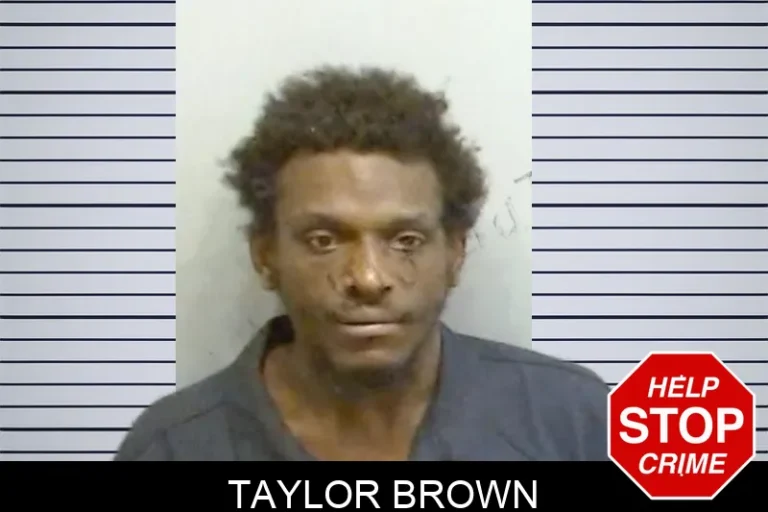 Taylor Brown