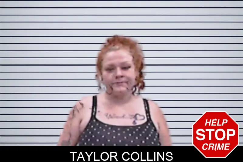 Taylor Collins
