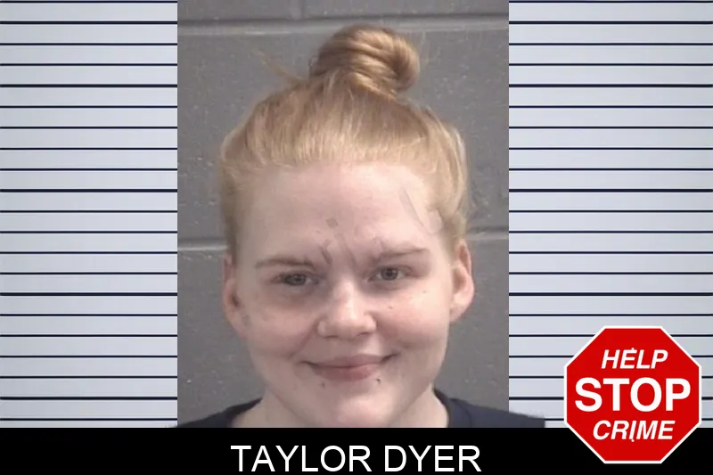Taylor Dyer mugshot