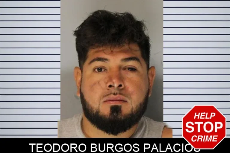 Teodoro Burgos Palacios mugshot – Hall County , Georgia Teodoro Burgos Palacios