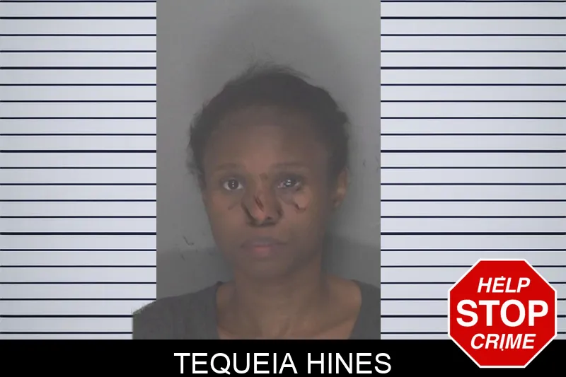 Tequeia Hines mugshot