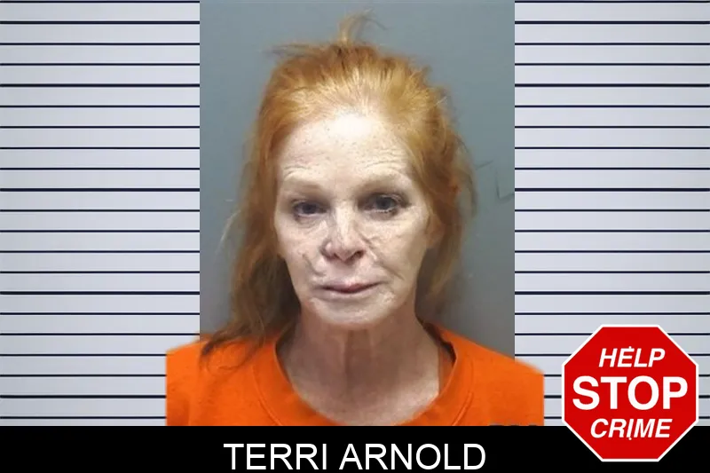 Terri Arnold Mugshots