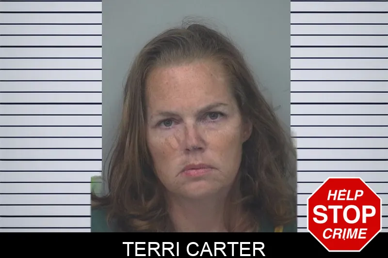 Terri Carter mugshot – Gwinnett County , Georgia Terri Carter mugshot