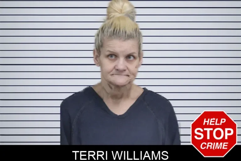 Terri Williams mugshot – Catoosa County , Georgia Terri Williams