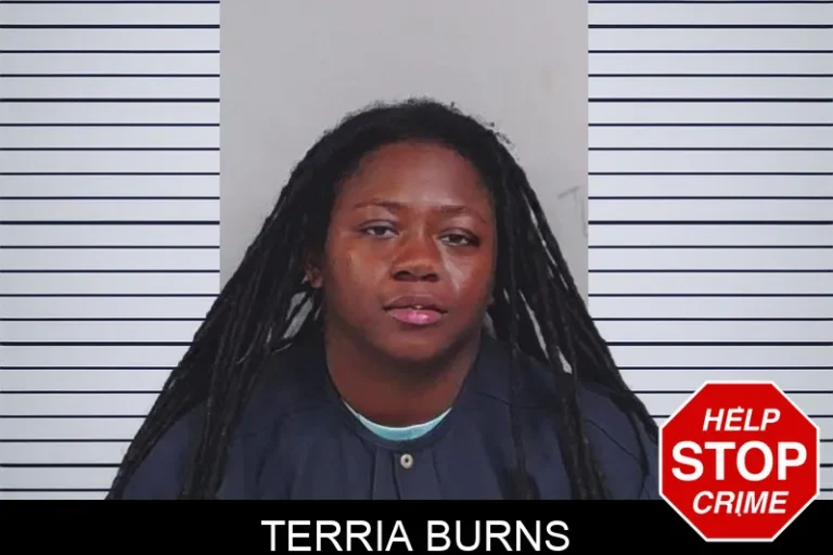 Terria Burns mugshot – Lowndes County , Georgia Terria Burns