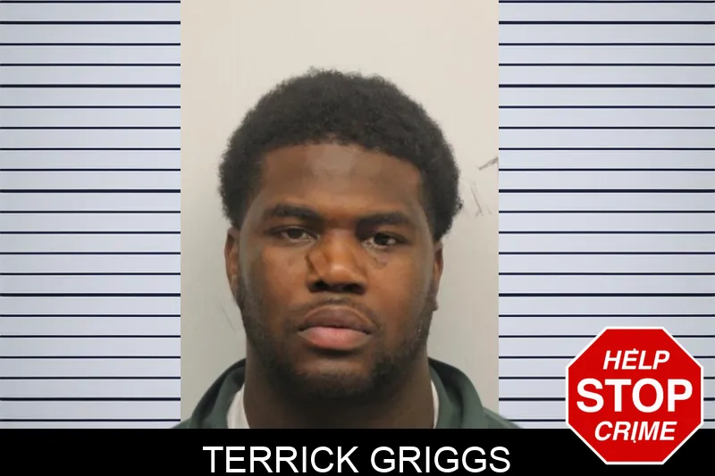 Terrick Griggs mugshot – Chatham County , Georgia Terrick Griggs mugshot