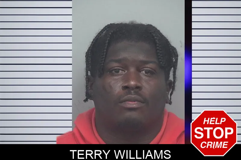 Terry Williams mugshot – Gwinnett County , Georgia Terry Williams mugshot