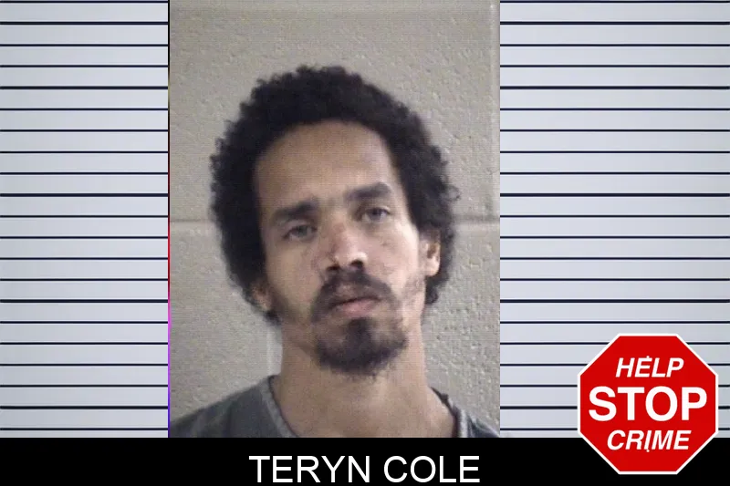 Teryn Cole mugshot