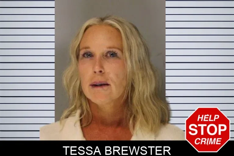 Tessa Brewster mugshot – Hall County , Georgia Tessa Brewster