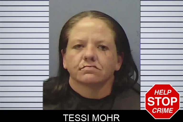 Tessi Mohr