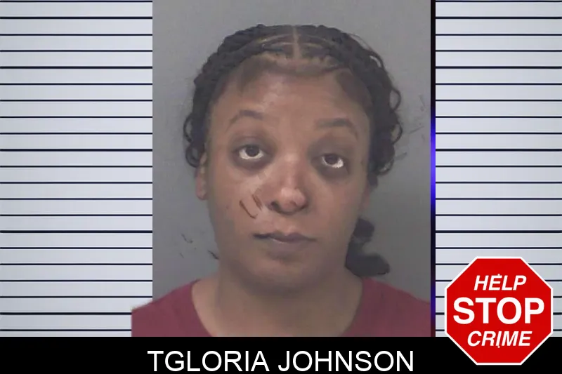 Tgloria Johnson Mugshots