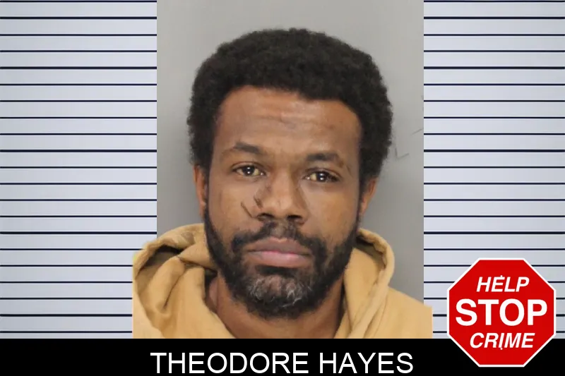 Theodore Hayes mugshot – Cobb County , Georgia Theodore Hayes mugshot