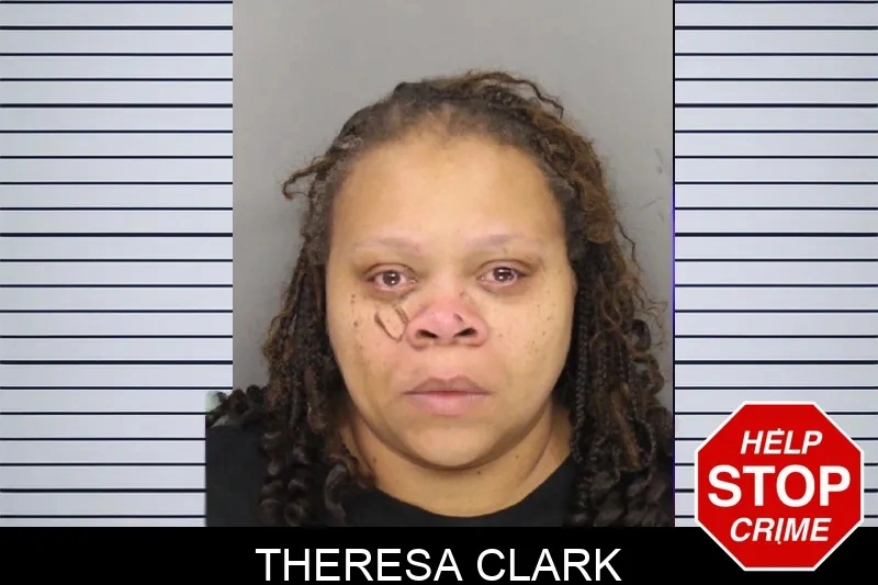 Theresa Clark mugshot