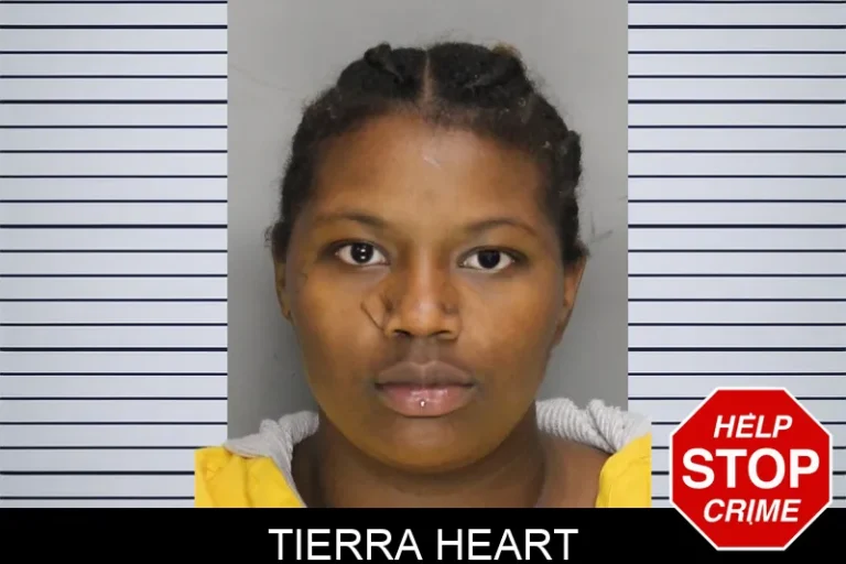 Tierra Heart mugshot – Cobb County , Georgia Tierra Heart