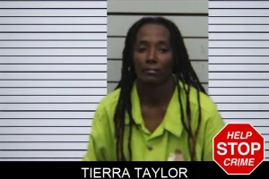 Tierra Taylor mugshot