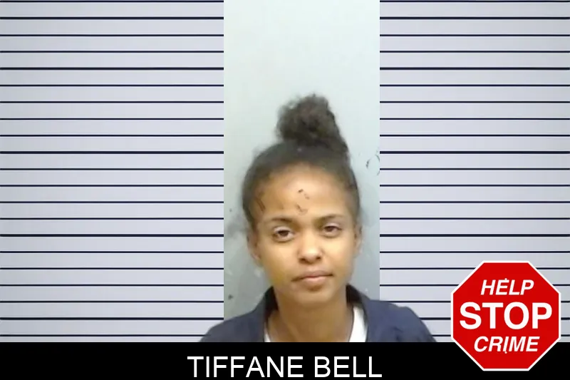 Tiffane Bell mugshot – Fulton County , Georgia Tiffane Bell mugshot