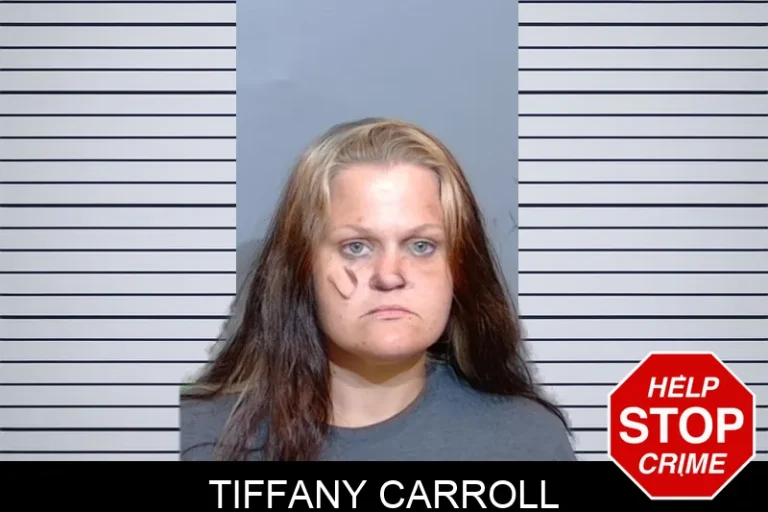 Tiffany Carroll mugshot – Glynn County , Georgia Tiffany Carroll