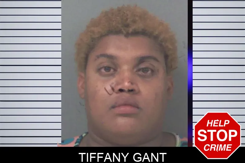 Tiffany Gant Mugshots