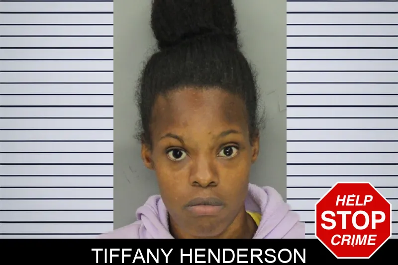 Tiffany Henderson mugshot – Cobb County , Georgia Tiffany Henderson mugshot