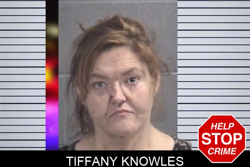 Tiffany Knowles mugshot – Spalding County , Georgia Tiffany Knowles mugshot
