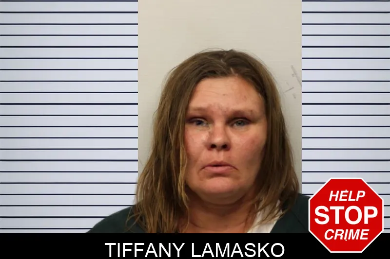 Tiffany Lamasko mugshot – Chatham County , Georgia Tiffany Lamasko mugshot