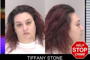Tiffany Stone mugshot