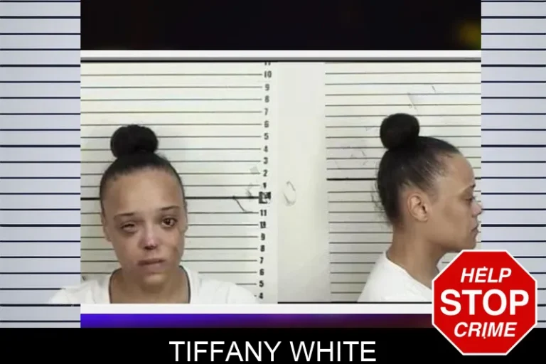 Tiffany White mugshot – Camden County , Georgia Tiffany White