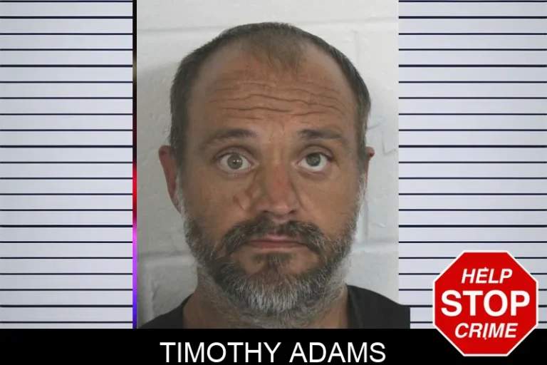 Timothy Adams