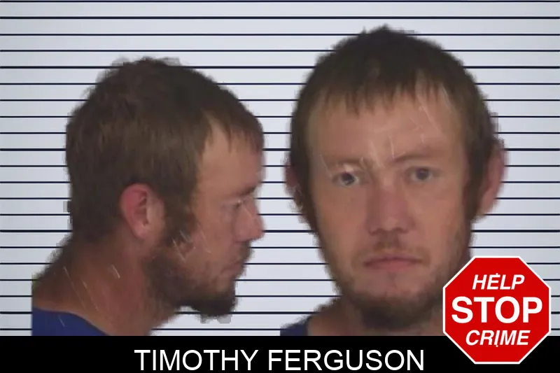Timothy Ferguson