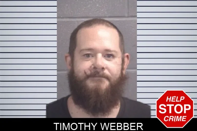 Timothy Webber
