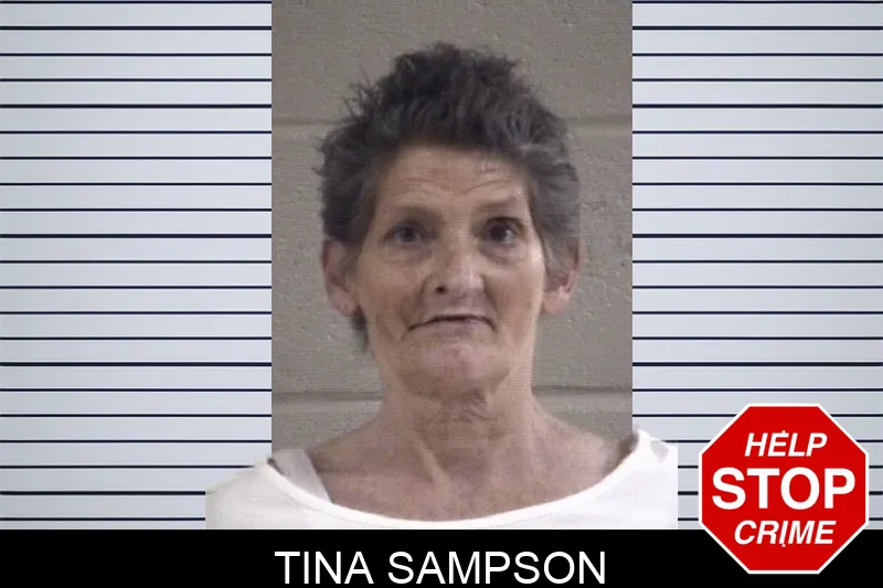 Tina Sampson mugshot – Whitfield County , Georgia Tina Sampson mugshot