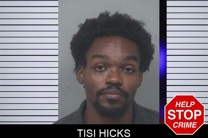 Tisi Hicks mugshot – Gwinnett County , Georgia Tisi Hicks mugshot