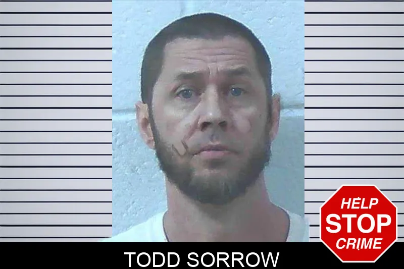 Todd Sorrow