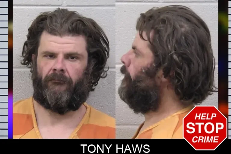 Tony Haws mugshot – Paulding County , Georgia Tony Haws