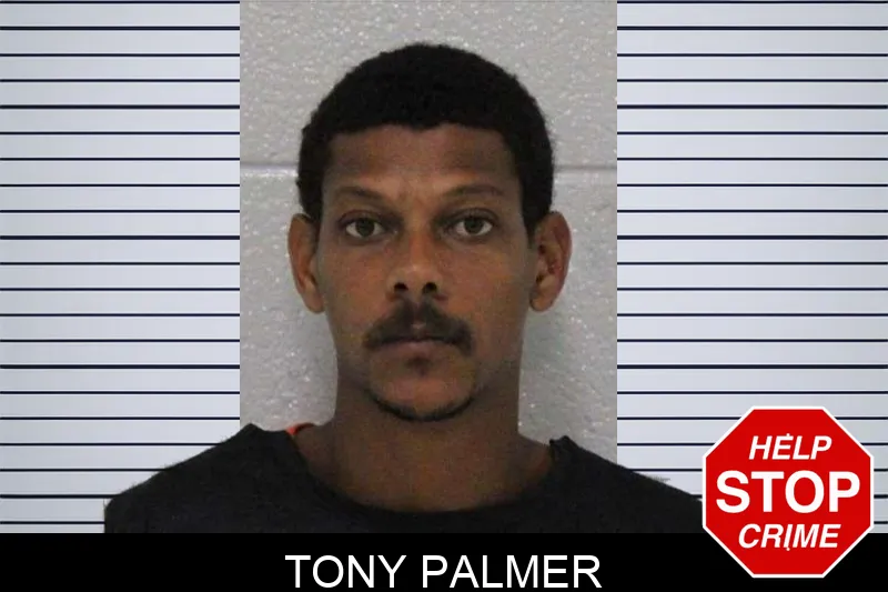 Tony Palmer mugshot