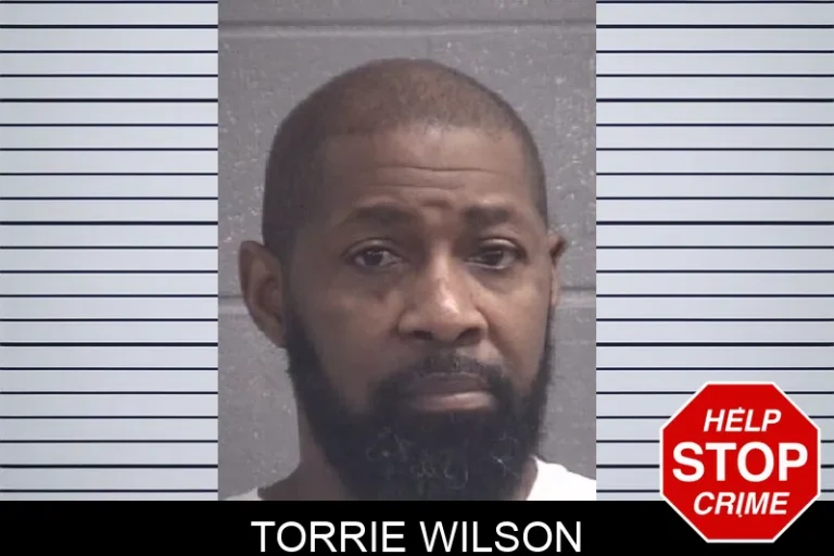 Torrie Wilson