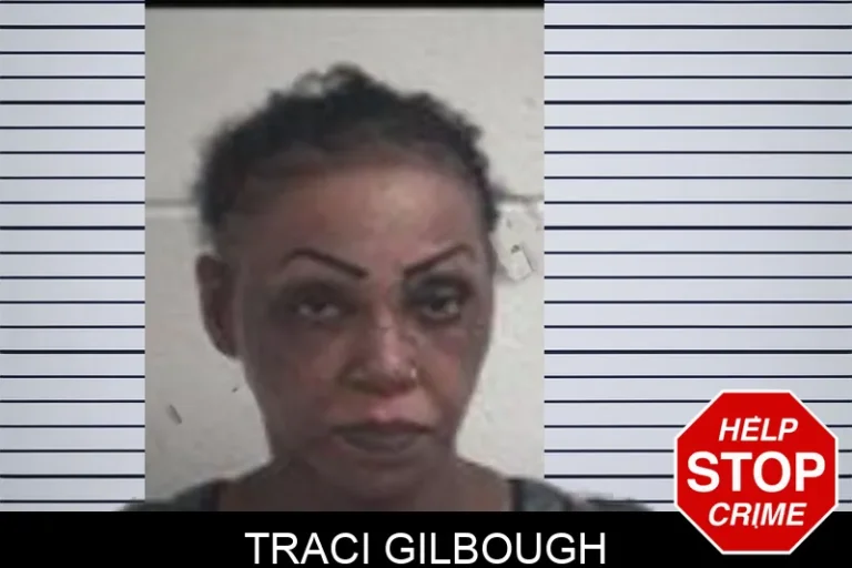 Traci Gilbough mugshot – Henry County , Georgia Traci Gilbough