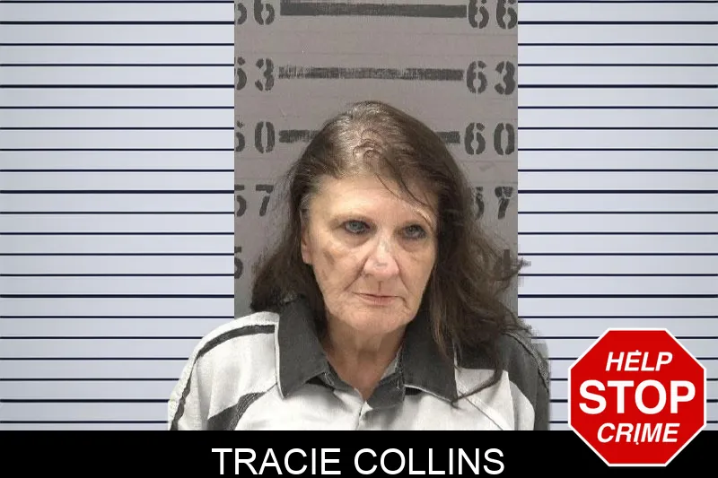 Tracie Collins Mugshots