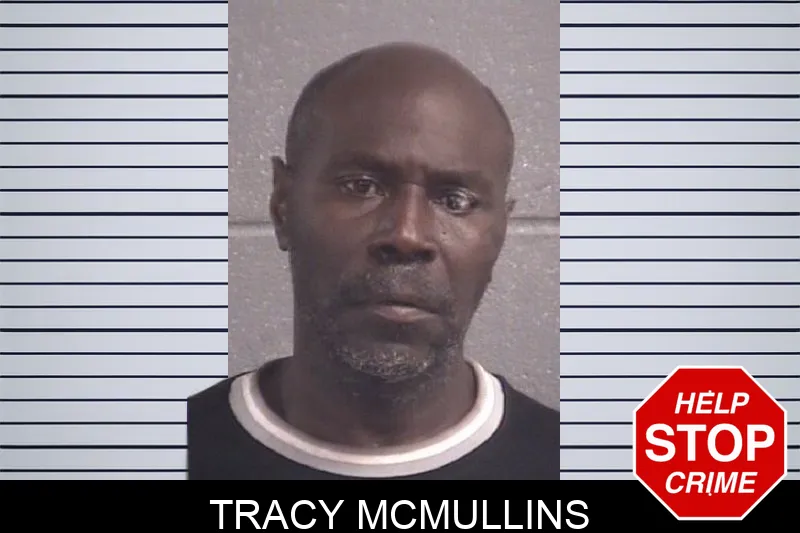 Tracy McMullins mugshot – Spalding County , Georgia Tracy McMullins mugshot
