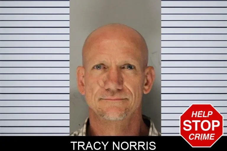 Tracy Norris mugshot – Hall County , Georgia Tracy Norris