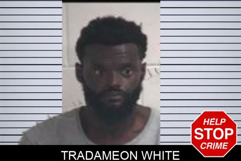 Tradameon White