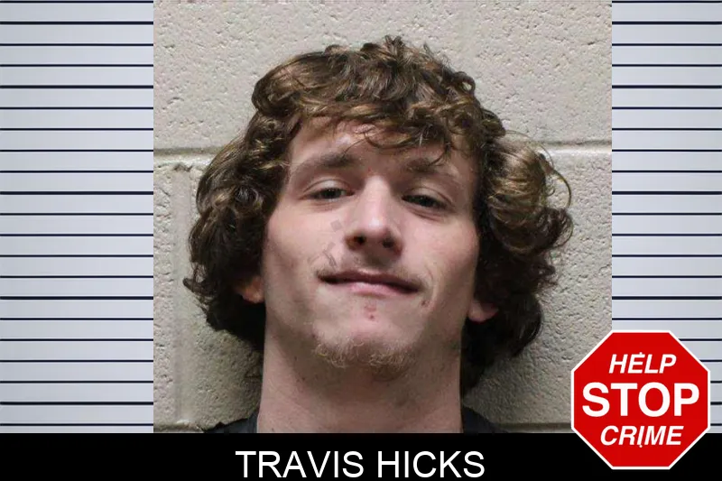 Travis Hicks Mugshots