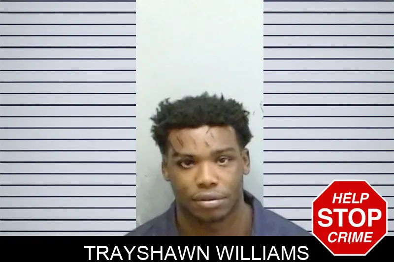 Trayshawn Williams mugshot