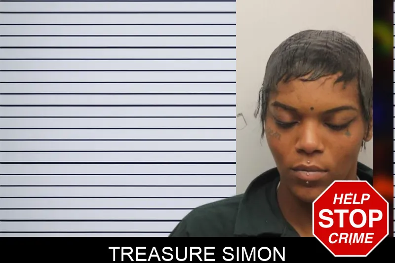 Treasure Simon mugshot – Chatham County , Georgia Treasure Simon mugshot