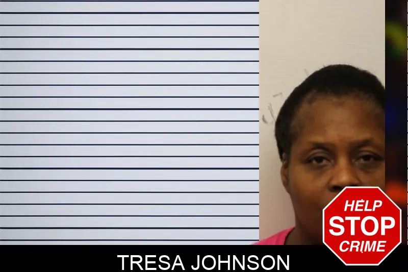 Tresa Johnson mugshot – Chatham County , Georgia Tresa Johnson mugshot